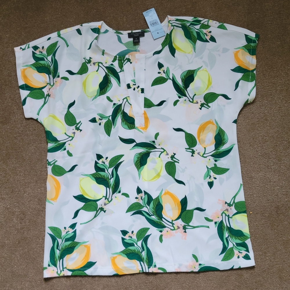 Ann Taylor Top